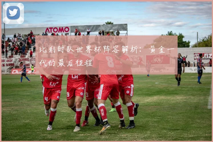 比利时队世界杯阵容解析：黄金一代的最后征程